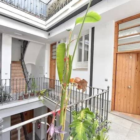 New! Bohemian In The Center Sevilla